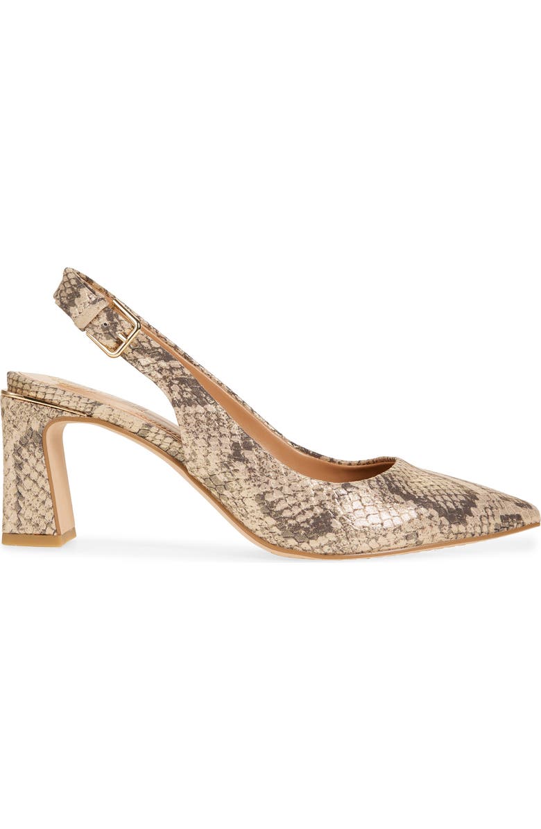 Hamden Pointed Toe Slingback Pump