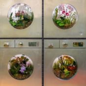 Mr. Flower Fantastic’s Orchid Show at the NYBG Celebrates City Grit With Blooming Beauty