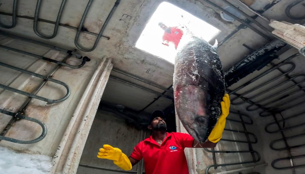 Sushi-Hunger – Lifestyle mit Schattenseiten im TV - Sendung - TV SPIELFILM