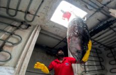 Sushi-Hunger – Lifestyle mit Schattenseiten im TV - Sendung - TV SPIELFILM