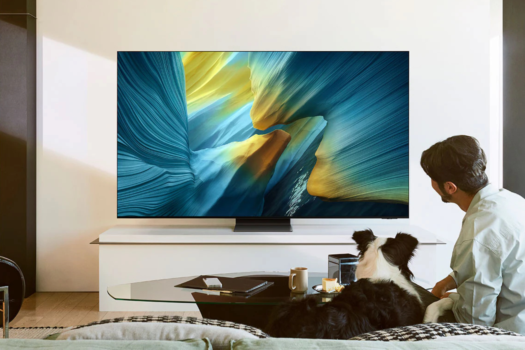 Samsung's S95F 4K TV on an entertainment center watched by a person and dog.