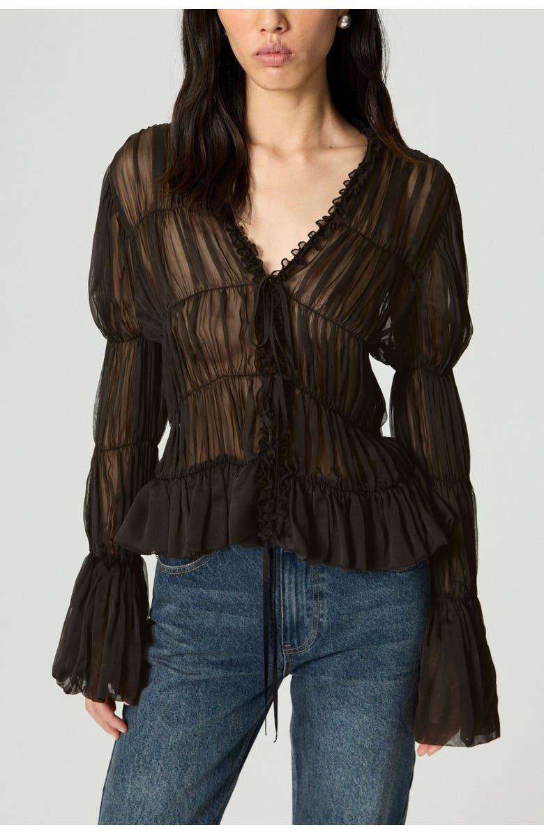 Ruched Sheer Blouse
