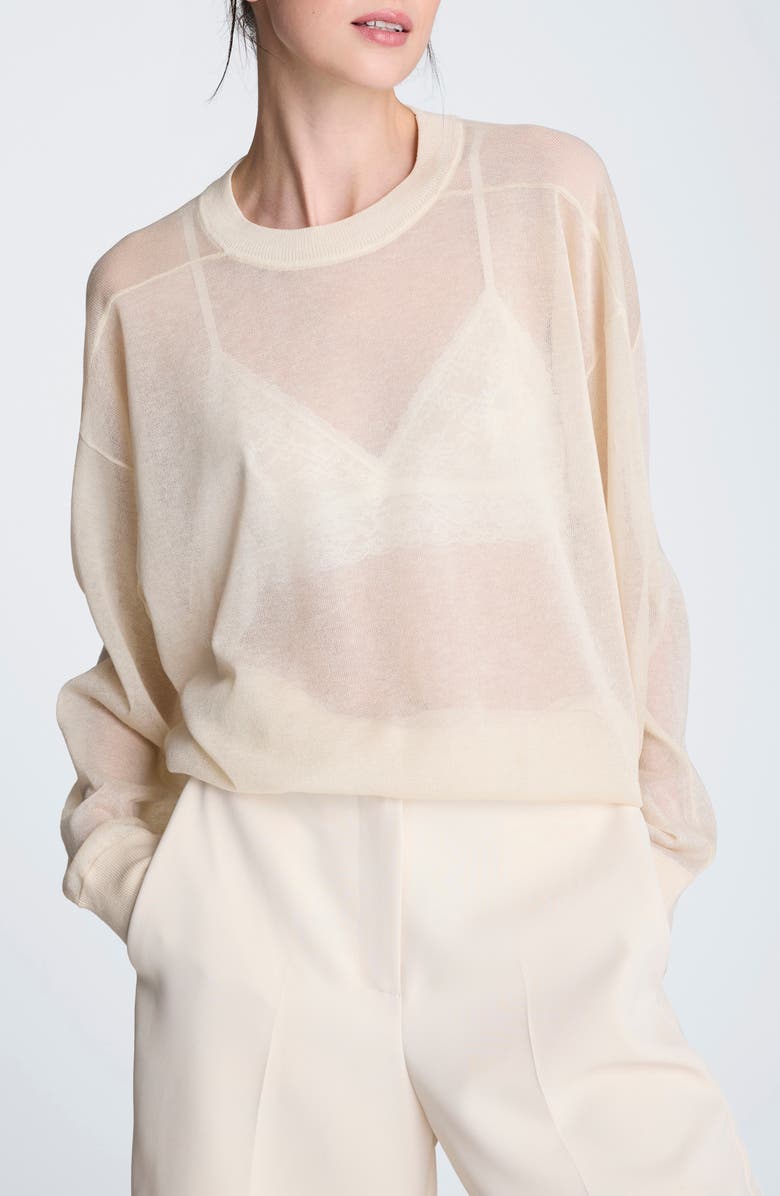Sheer Crewneck Sweatshirt