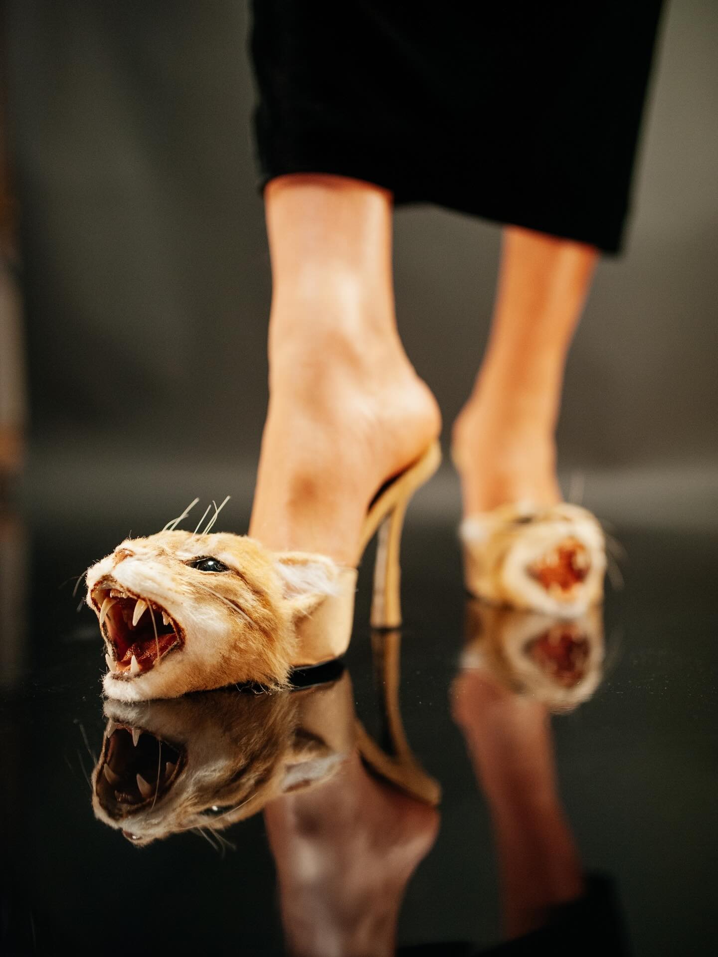 Schiaparelli Fall/Winter 2026