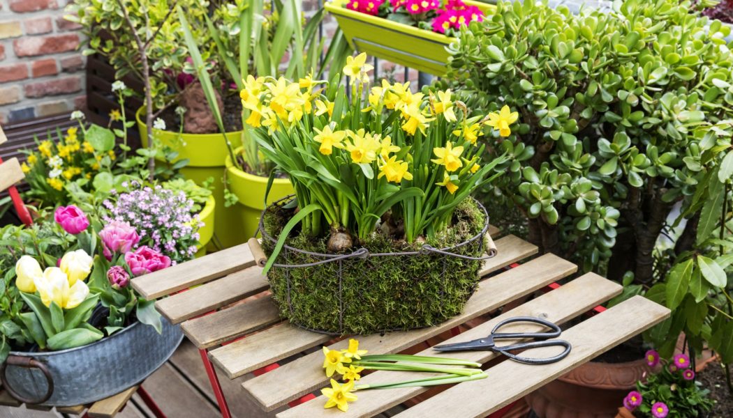 DIY: So einfach geht das schönste Oster-Mitbringsel 2026