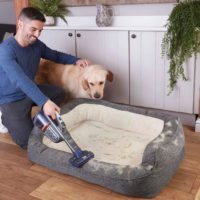 Here are our favorite spring cleaning deals from Amazon’s Big Spring Sale