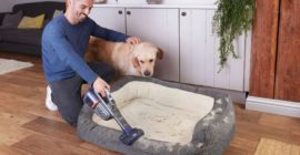 Here are our favorite spring cleaning deals from Amazon’s Big Spring Sale