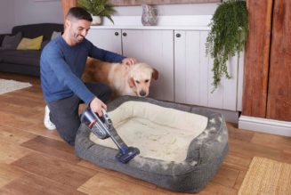 Here are our favorite spring cleaning deals from Amazon’s Big Spring Sale