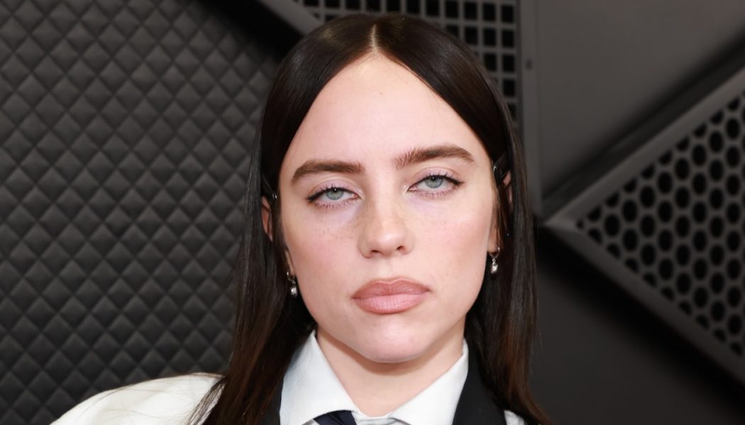 Man Arrested for Stalking Billie Eilish Killed by Train on Long Island