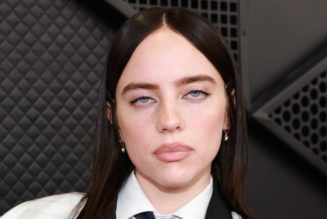 Man Arrested for Stalking Billie Eilish Killed by Train on Long Island