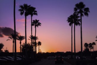 So einflussreich ist der „California Lifestyle“