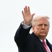 The Irony: Donald Trump Says There Shouldn't Be Stupid Presidents