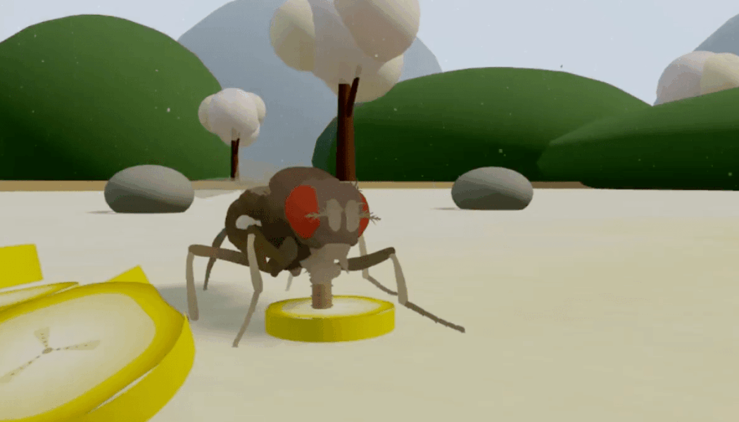 This is not a fly uploaded to a computer