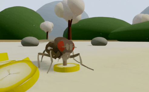 This is not a fly uploaded to a computer