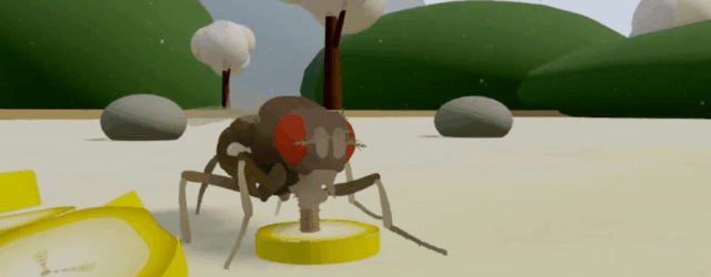 This is not a fly uploaded to a computer