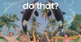 TikTok’s policy for AI ads isn’t working