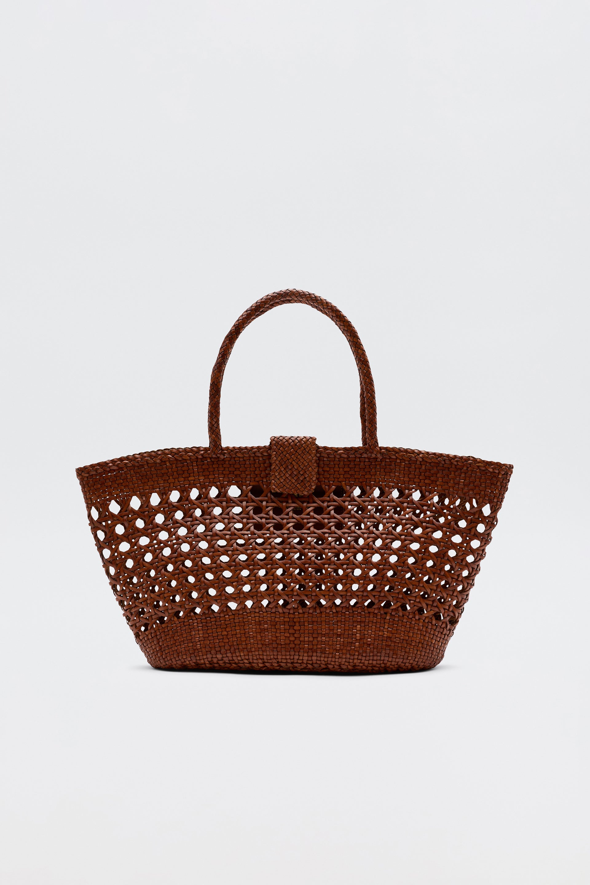 Lucine Leather Bag in Brown Tan