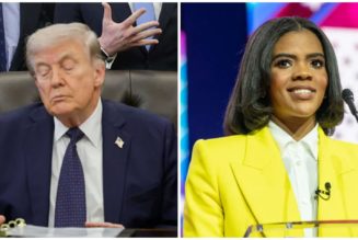 Candace Owens The Latest Recipient of Donald Trump's Racist "Low IQ" Insult