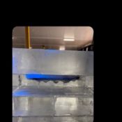 Did Drake Turn 'ICE MAN' In?: Everything We Loved in Music This Week