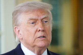 Donald Trump's Mental Fitness The Subject of Intense Scrutiny Following Zany Fox News Interview