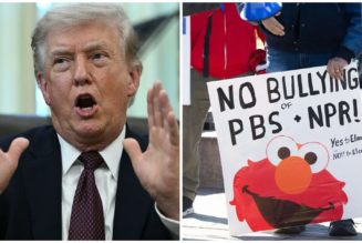 Donald Trump's Order To End Funding To NPR & PBS Ruled Illegal First Ammendment Violation