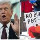 Donald Trump's Order To End Funding To NPR & PBS Ruled Illegal First Ammendment Violation