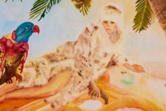 Harmony Korine’s First U.S. Museum Show Is ‘Perfect Nonsense’