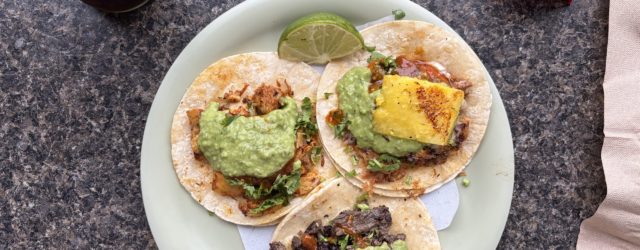 I let Gemini in Google Maps plan my day and it went surprisingly well