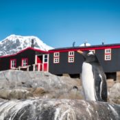 My summer as a wildlife monitor in Antarctica | Atlas & Boots