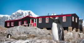 My summer as a wildlife monitor in Antarctica | Atlas & Boots