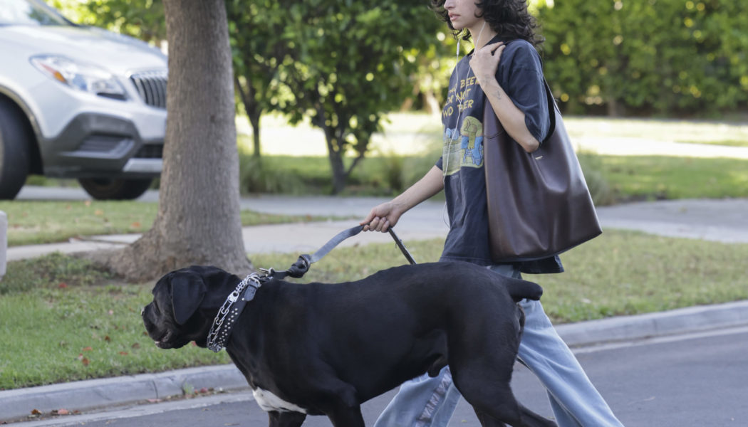 Seen in L.A.: Odessa A’zion Wore the Iconic Coach Bag Every Editor I Know Wants