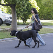 Seen in L.A.: Odessa A’zion Wore the Iconic Coach Bag Every Editor I Know Wants