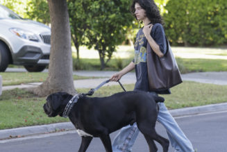 Seen in L.A.: Odessa A’zion Wore the Iconic Coach Bag Every Editor I Know Wants