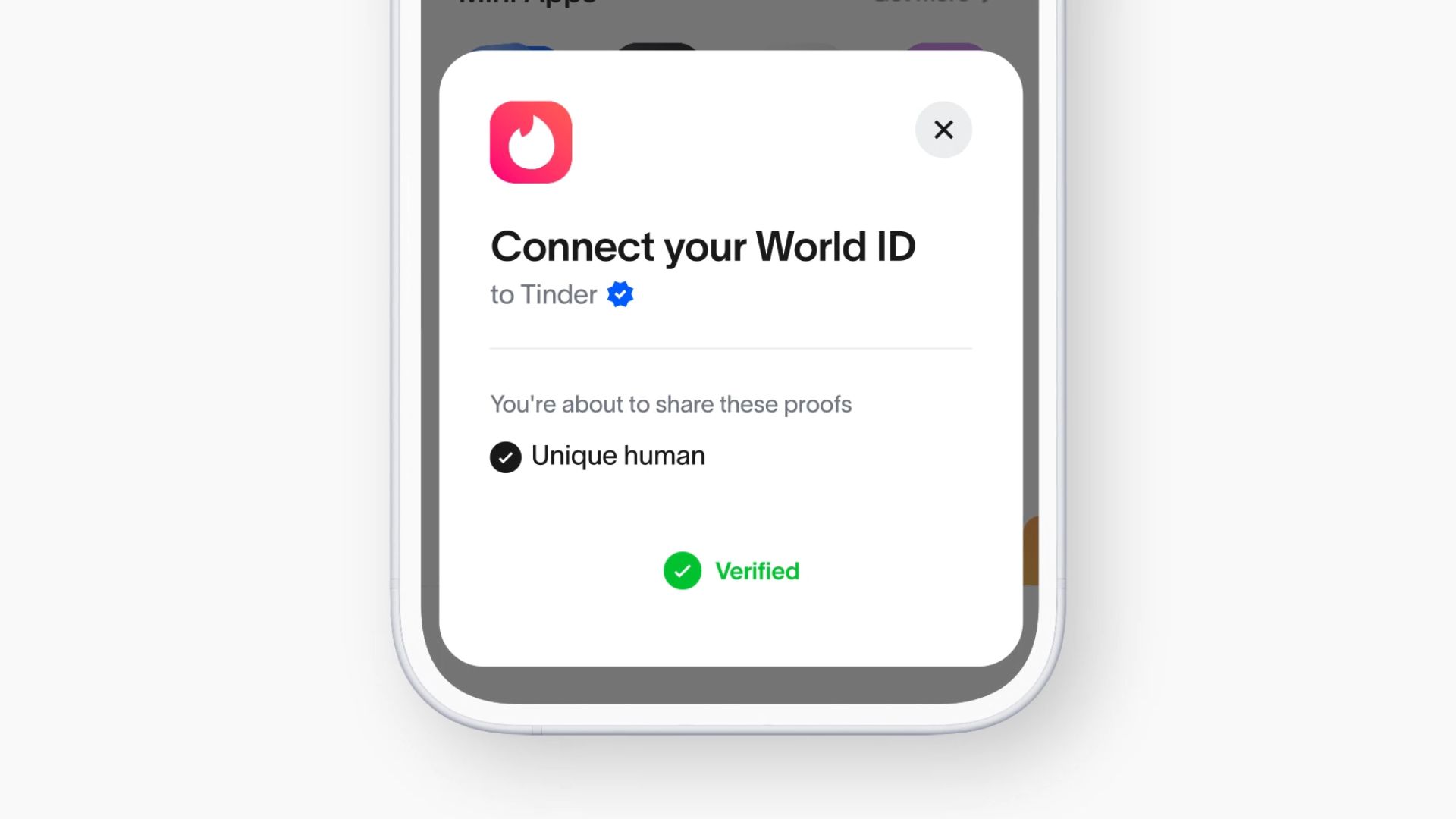 world-id-tinder-verify