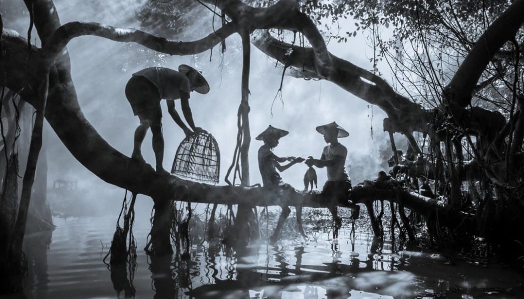 Sony’s 2026 Picks for the World’s Best Photos