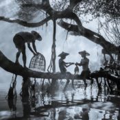 Sony’s 2026 Picks for the World’s Best Photos