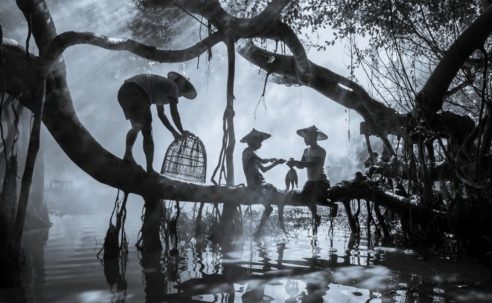 Sony’s 2026 Picks for the World’s Best Photos