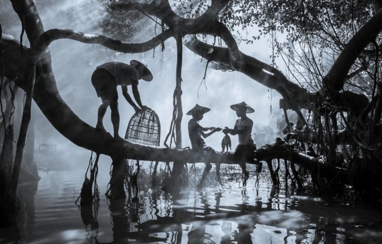 Sony’s 2026 Picks for the World’s Best Photos