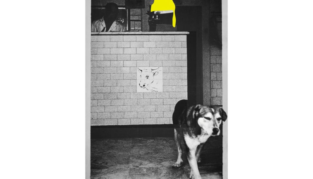 The New Guard Takes the Armory at AIPAD's Photography Show 2026