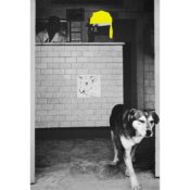 The New Guard Takes the Armory at AIPAD's Photography Show 2026