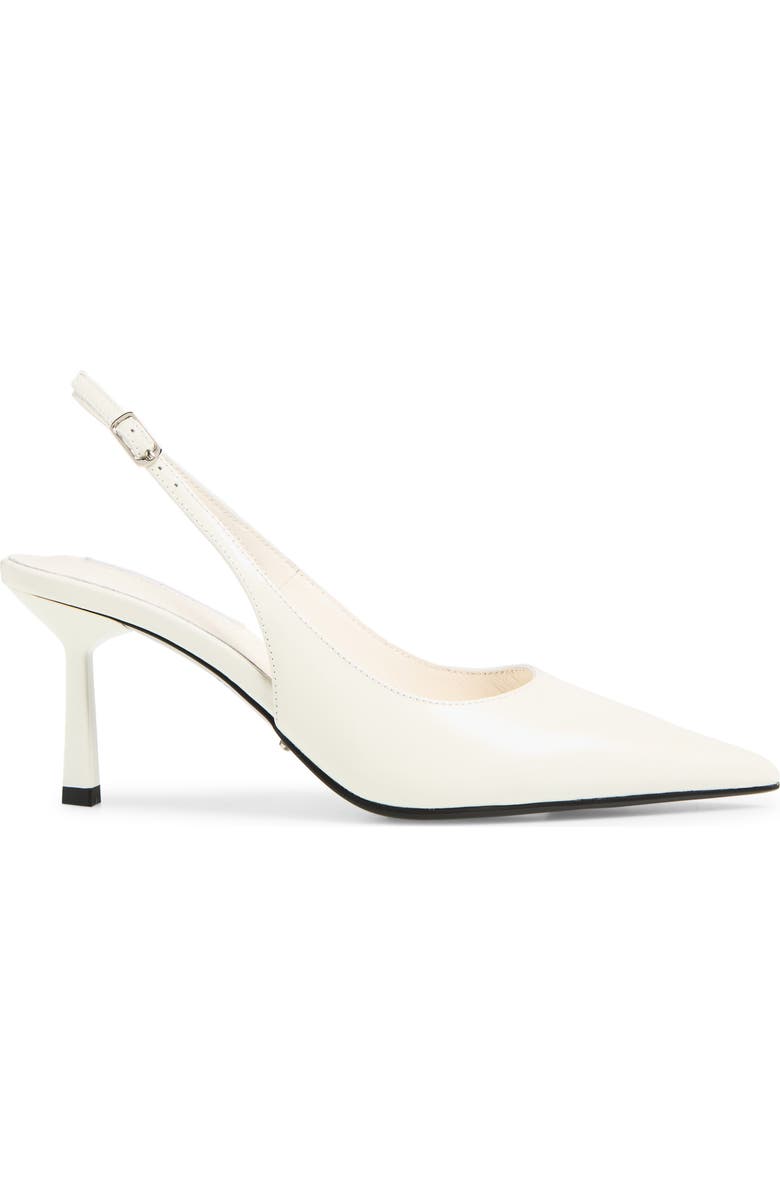 Baz Pointed Toe Slingback Pump