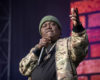 Trick Daddy's Performance During Alpha Kappa Alpha Conference Shut Down Early