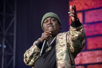 Trick Daddy's Performance During Alpha Kappa Alpha Conference Shut Down Early