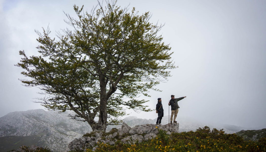 Where are we going in 2027?