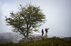 Where are we going in 2027?