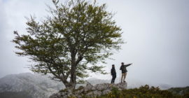 Where are we going in 2027?