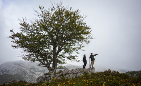 Where are we going in 2027?