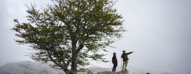 Where are we going in 2027?