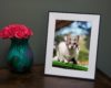 Aura’s delightful Aspen photo frame is on sale for $30 off this weekend
