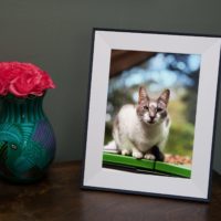 Aura’s delightful Aspen photo frame is on sale for $30 off this weekend